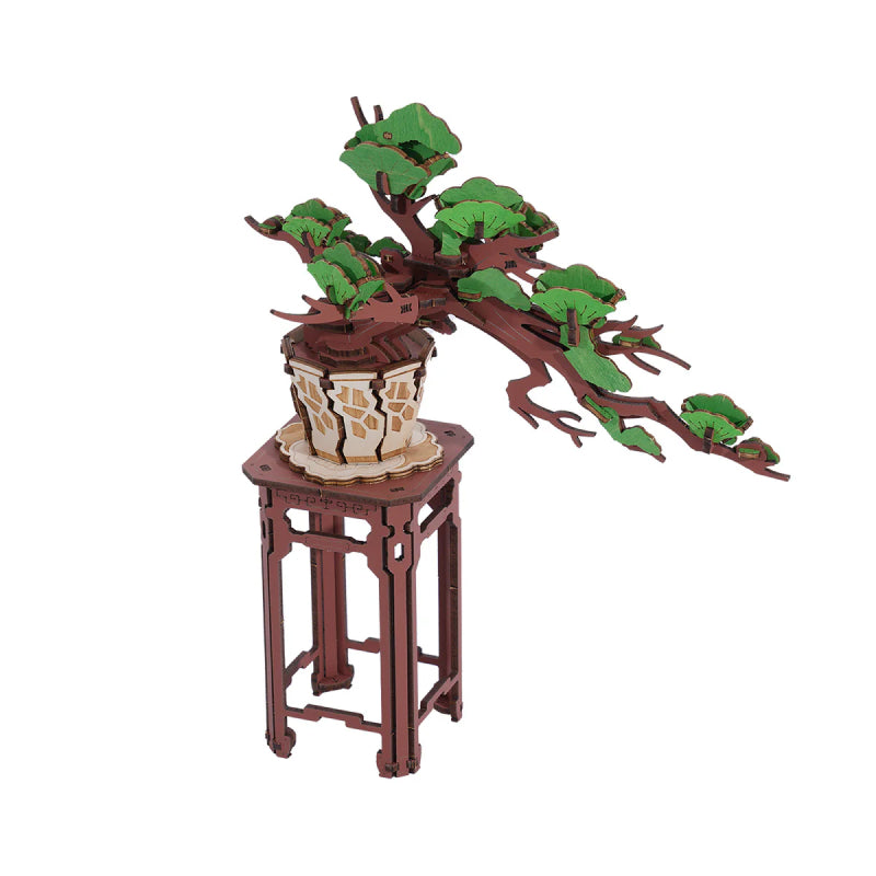 bonsai mutter Bonsai Baum