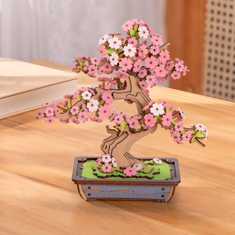 Sakura Bonsai Baum