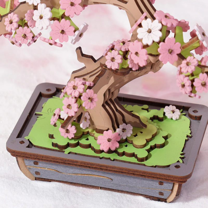 Sakura Bonsai Baum