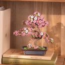 Sakura Bonsai Baum