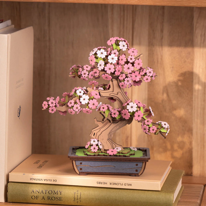 Sakura Bonsai Baum