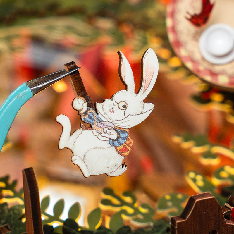 Alice im Wunderland Buch