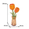 Orange Tulpe