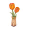 Orange Tulpe