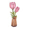 Rosa Tulpe
