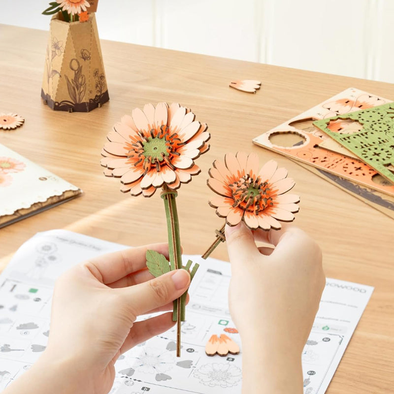 Orange Gerbera