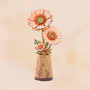 Orange Gerbera