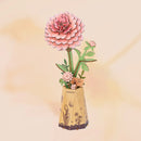 Rosa Dahlie