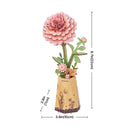 Rosa Dahlie