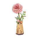 Rosa Dahlie